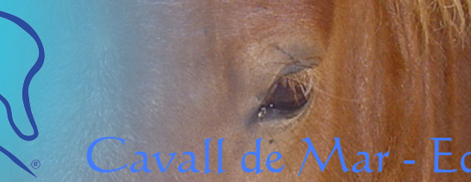 Por favor Bajo mandato Won Cavall de Mar - Avís legal